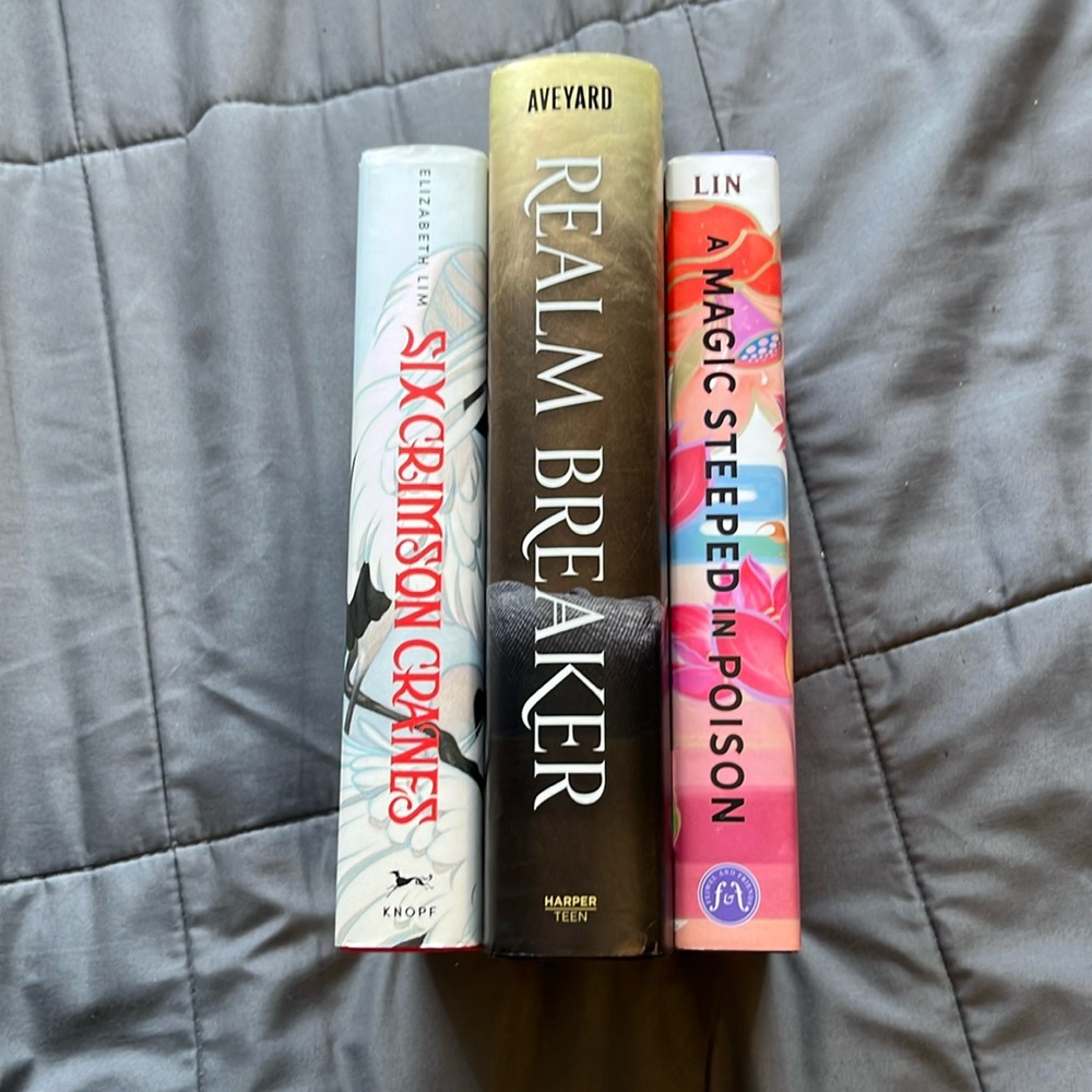 young adult fantasy three hardcover book bundle